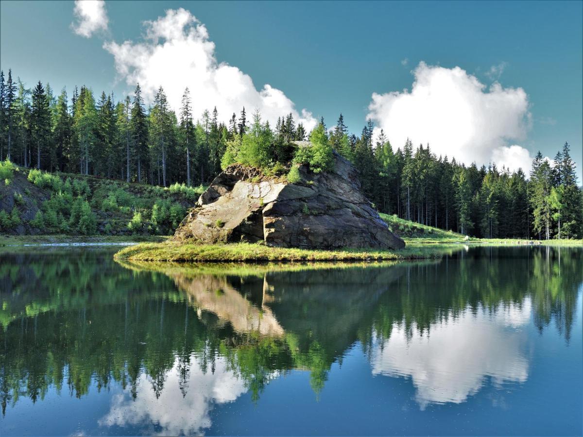 Naturforsthaus Gartenblick Fuer Hunde - Und Naturverbundene Menschen Preitenegg Exterior foto