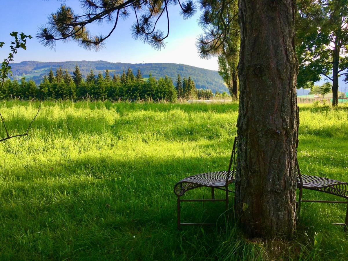 Naturforsthaus Gartenblick Fuer Hunde - Und Naturverbundene Menschen Preitenegg Exterior foto