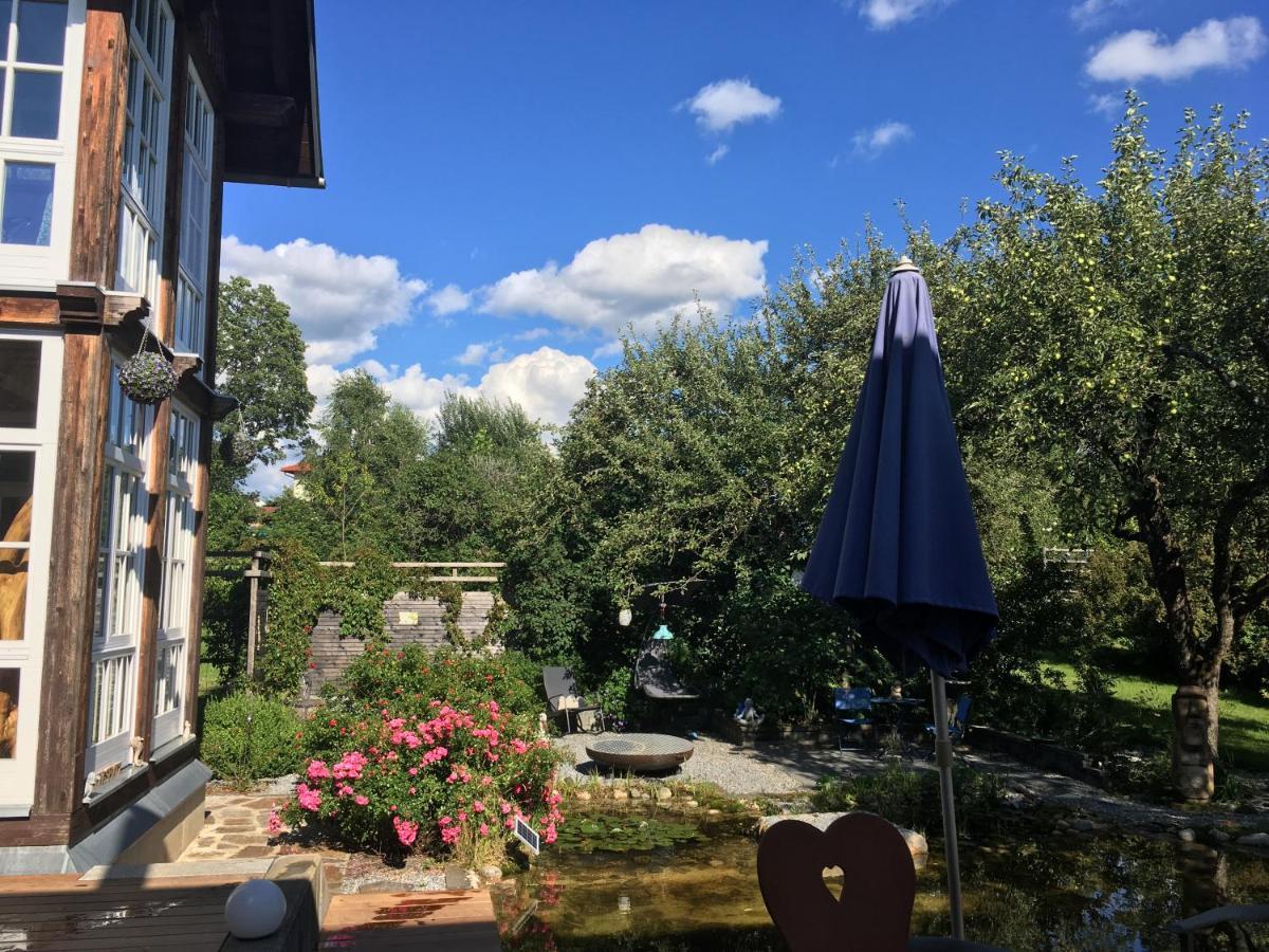 Naturforsthaus Gartenblick Fuer Hunde - Und Naturverbundene Menschen Preitenegg Exterior foto