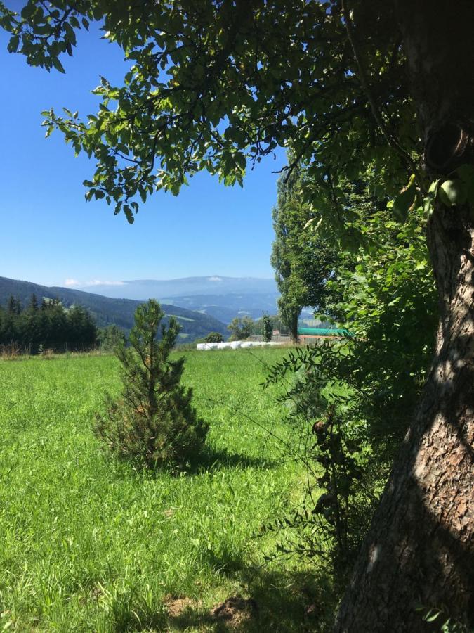 Naturforsthaus Gartenblick Fuer Hunde - Und Naturverbundene Menschen Preitenegg Exterior foto